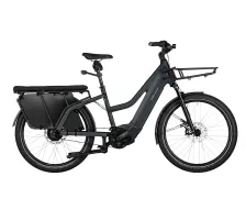 Riese & Muller Multicharger Mixte GT Vario HS